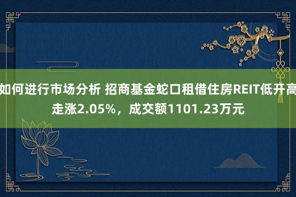 如何进行市场分析 招商基金蛇口租借住房REIT低开高走涨2.05%，成交额1101.23万元