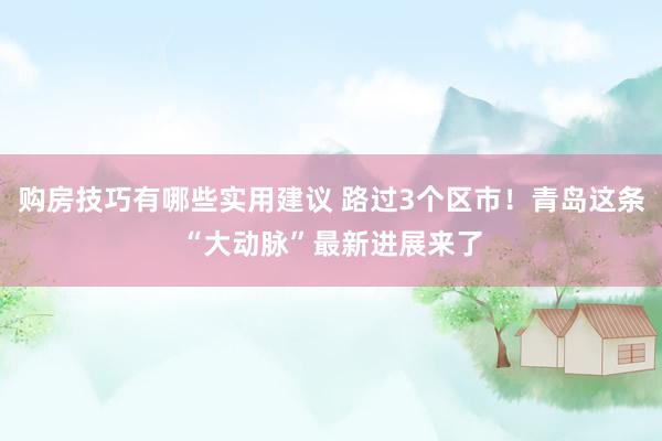 购房技巧有哪些实用建议 路过3个区市！青岛这条“大动脉”最新进展来了