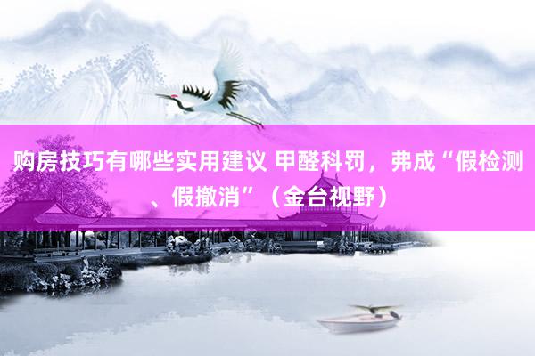 购房技巧有哪些实用建议 甲醛科罚，弗成“假检测、假撤消”（金台视野）