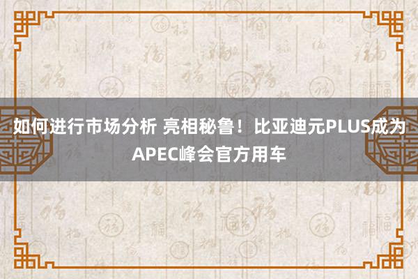 如何进行市场分析 亮相秘鲁！比亚迪元PLUS成为APEC峰会官方用车