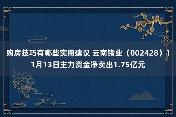 购房技巧有哪些实用建议 云南锗业（002428）11月13日主力资金净卖出1.75亿元