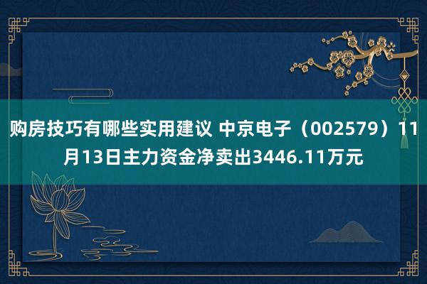 购房技巧有哪些实用建议 中京电子（002579）11月13日主力资金净卖出3446.11万元