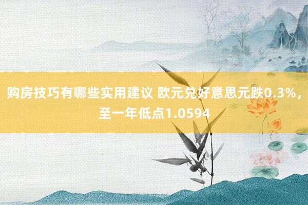 购房技巧有哪些实用建议 欧元兑好意思元跌0.3%，至一年低点1.0594