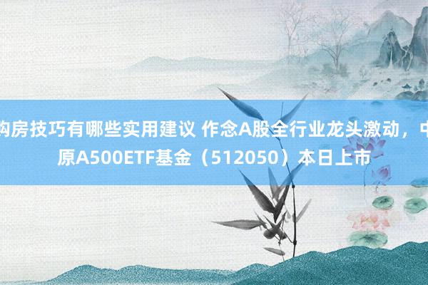 购房技巧有哪些实用建议 作念A股全行业龙头激动，中原A500ETF基金（512050）本日上市