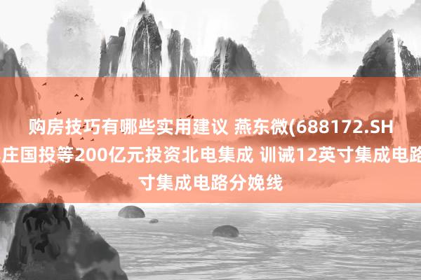 购房技巧有哪些实用建议 燕东微(688172.SH)拟携亦庄国投等200亿元投资北电集成 训诫12英寸集成电路分娩线