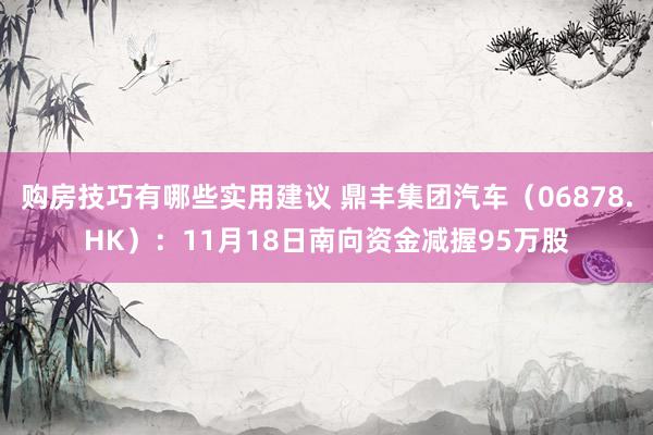 购房技巧有哪些实用建议 鼎丰集团汽车（06878.HK）：11月18日南向资金减握95万股