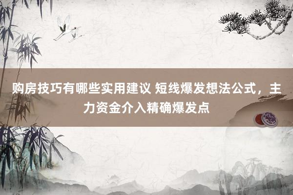 购房技巧有哪些实用建议 短线爆发想法公式，主力资金介入精确爆发点