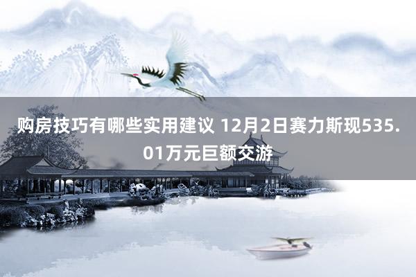 购房技巧有哪些实用建议 12月2日赛力斯现535.01万元巨额交游