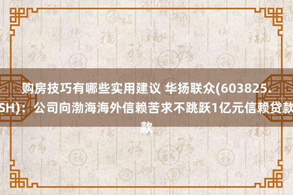 购房技巧有哪些实用建议 华扬联众(603825.SH)：公司向渤海海外信赖苦求不跳跃1亿元信赖贷款