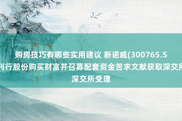 购房技巧有哪些实用建议 新诺威(300765.SZ)：刊行股份购买财富并召募配套资金苦求文献获取深交所受理