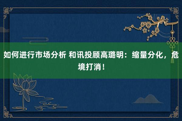 如何进行市场分析 和讯投顾高璐明：缩量分化，危境打消！