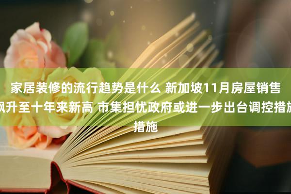 家居装修的流行趋势是什么 新加坡11月房屋销售飙升至十年来新高 市集担忧政府或进一步出台调控措施