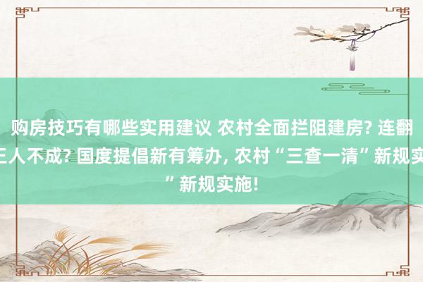 购房技巧有哪些实用建议 农村全面拦阻建房? 连翻修王人不成? 国度提倡新有筹办, 农村“三查一清”新规实施!