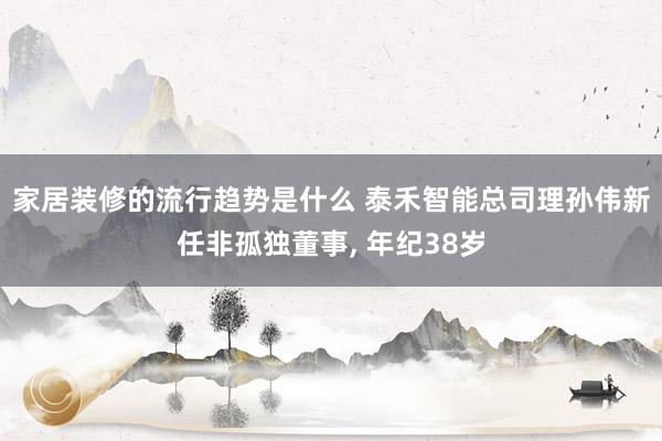 家居装修的流行趋势是什么 泰禾智能总司理孙伟新任非孤独董事, 年纪38岁