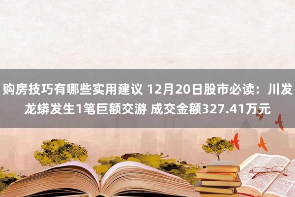 购房技巧有哪些实用建议 12月20日股市必读：川发龙蟒发生1笔巨额交游 成交金额327.41万元