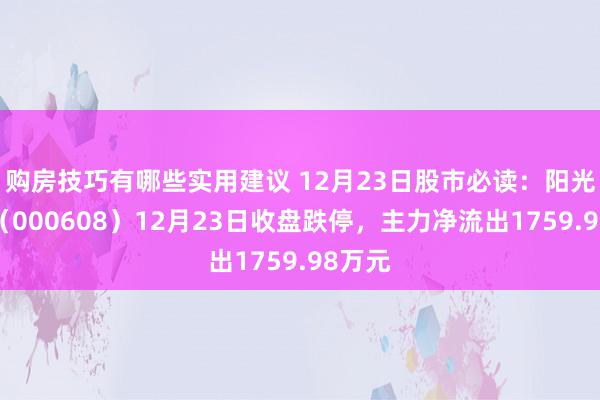 购房技巧有哪些实用建议 12月23日股市必读：阳光股份（000608）12月23日收盘跌停，主力净流出1759.98万元