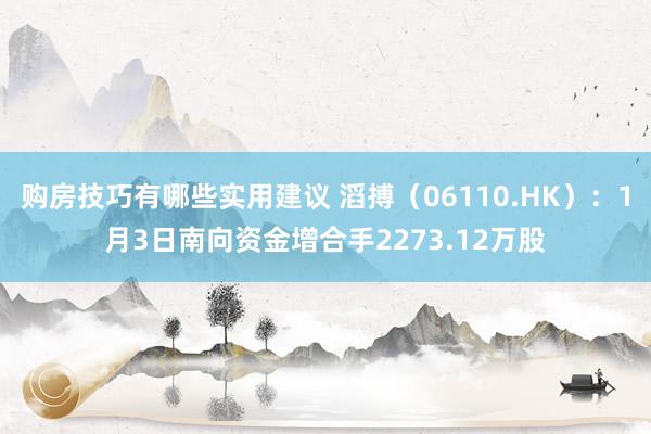 购房技巧有哪些实用建议 滔搏（06110.HK）：1月3日南向资金增合手2273.12万股