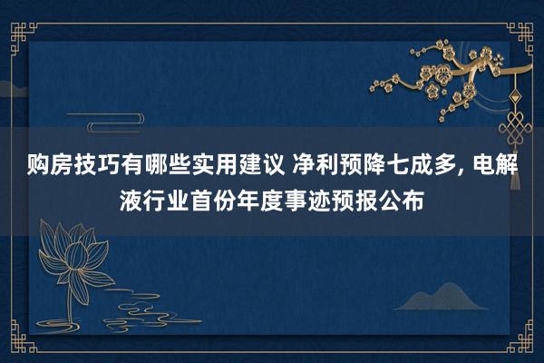 购房技巧有哪些实用建议 净利预降七成多, 电解液行业首份年度事迹预报公布