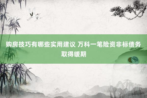 购房技巧有哪些实用建议 万科一笔险资非标债务取得缓期