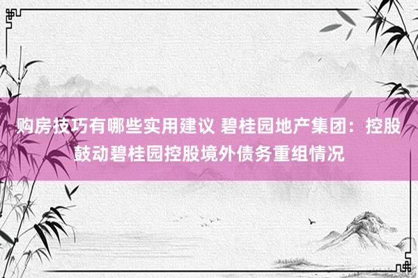 购房技巧有哪些实用建议 碧桂园地产集团：控股鼓动碧桂园控股境外债务重组情况