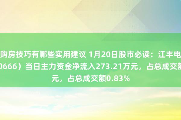 购房技巧有哪些实用建议 1月20日股市必读：江丰电子（300666）当日主力资金净流入273.21万元，占总成交额0.83%