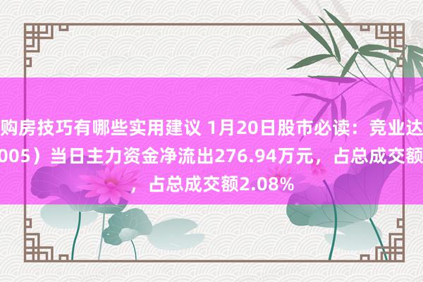 购房技巧有哪些实用建议 1月20日股市必读：竞业达（003005）当日主力资金净流出276.94万元，占总成交额2.08%