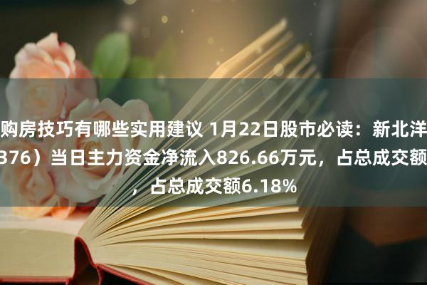 购房技巧有哪些实用建议 1月22日股市必读：新北洋（002376）当日主力资金净流入826.66万元，占总成交额6.18%