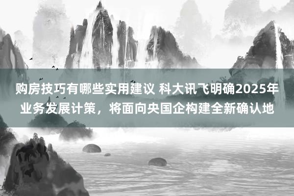 购房技巧有哪些实用建议 科大讯飞明确2025年业务发展计策，将面向央国企构建全新确认地