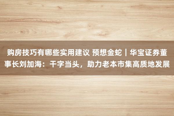 购房技巧有哪些实用建议 预想金蛇｜华宝证券董事长刘加海：干字当头，助力老本市集高质地发展