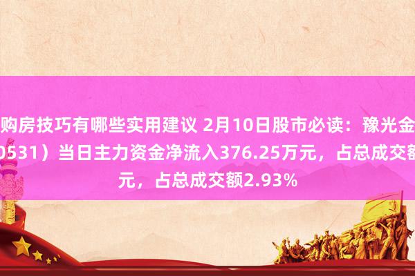 购房技巧有哪些实用建议 2月10日股市必读：豫光金铅（600531）当日主力资金净流入376.25万元，占总成交额2.93%