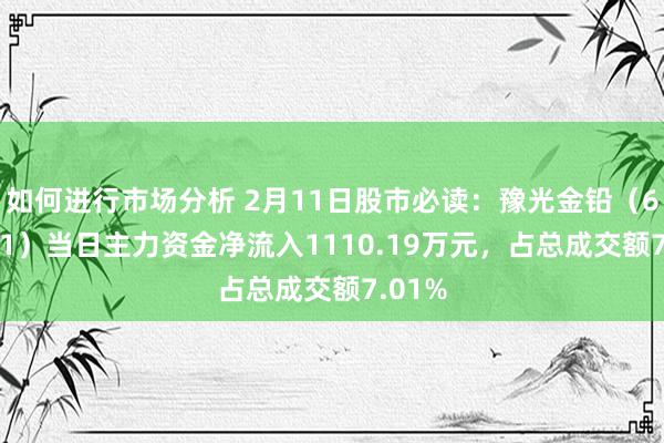 如何进行市场分析 2月11日股市必读：豫光金铅（600531）当日主力资金净流入1110.19万元，占总成交额7.01%