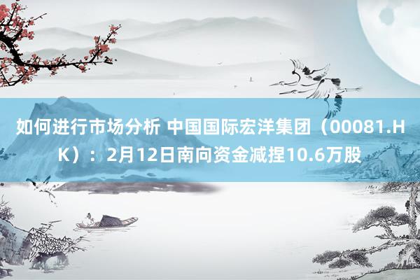 如何进行市场分析 中国国际宏洋集团（00081.HK）：2月12日南向资金减捏10.6万股