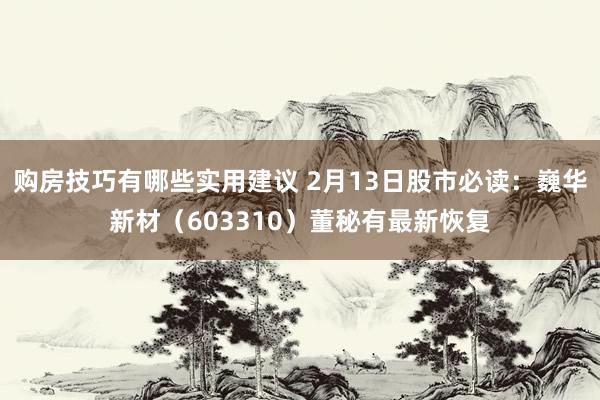 购房技巧有哪些实用建议 2月13日股市必读：巍华新材（603310）董秘有最新恢复