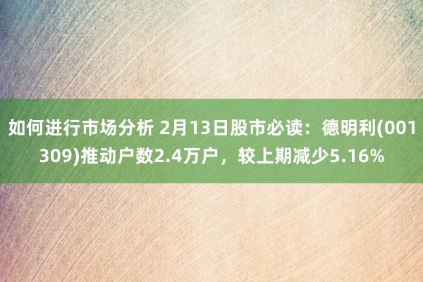 如何进行市场分析 2月13日股市必读：德明利(001309)推动户数2.4万户，较上期减少5.16%