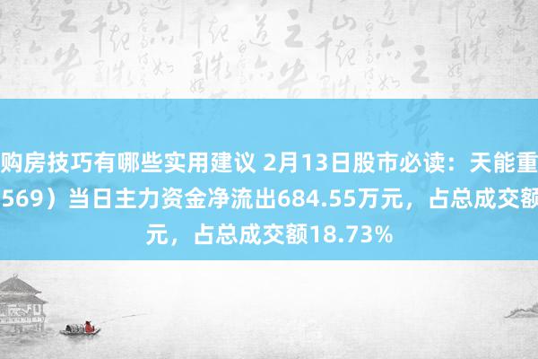 购房技巧有哪些实用建议 2月13日股市必读：天能重工（300569）当日主力资金净流出684.55万元，占总成交额18.73%