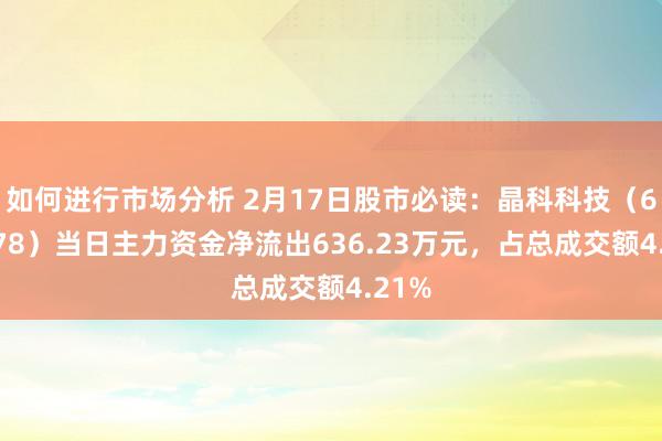 如何进行市场分析 2月17日股市必读：晶科科技（601778）当日主力资金净流出636.23万元，占总成交额4.21%