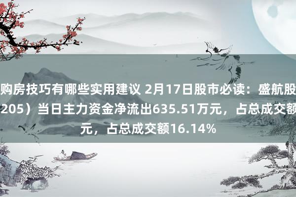 购房技巧有哪些实用建议 2月17日股市必读：盛航股份（001205）当日主力资金净流出635.51万元，占总成交额16.14%