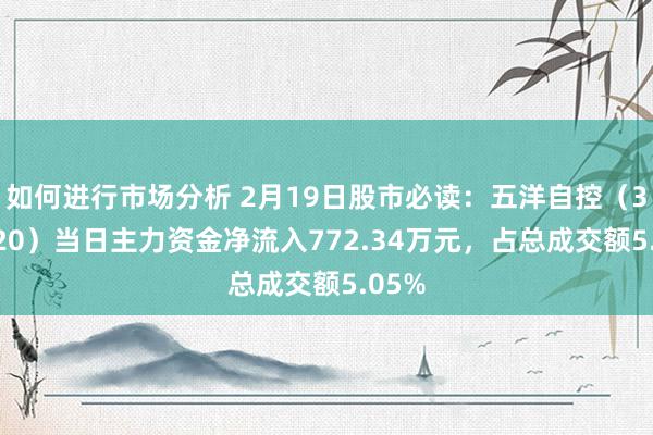 如何进行市场分析 2月19日股市必读：五洋自控（300420）当日主力资金净流入772.34万元，占总成交额5.05%