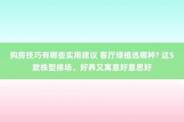 购房技巧有哪些实用建议 客厅绿植选哪种? 这5款株型排场、好养又寓意好意思好