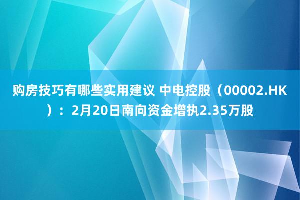 购房技巧有哪些实用建议 中电控股（00002.HK）：2月20日南向资金增执2.35万股