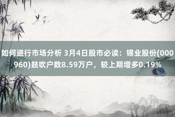 如何进行市场分析 3月4日股市必读：锡业股份(000960)鼓吹户数8.59万户，较上期增多0.19%