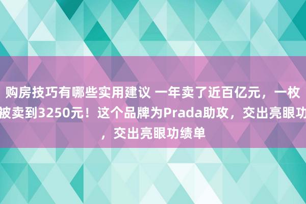 购房技巧有哪些实用建议 一年卖了近百亿元，一枚发卡被卖到3250元！这个品牌为Prada助攻，交出亮眼功绩单