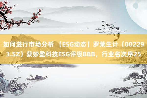 如何进行市场分析 【ESG动态】罗莱生计（002293.SZ）获妙盈科技ESG评级BBB，行业名次序25