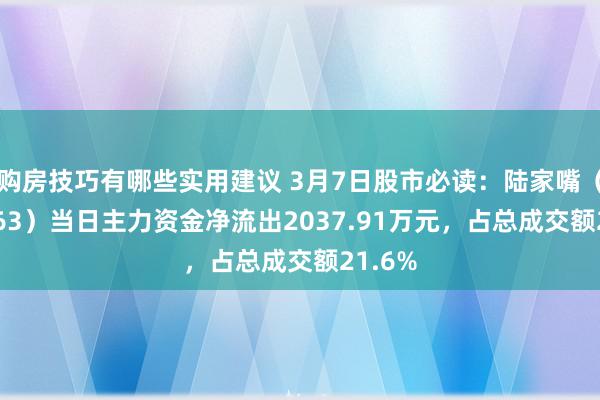 购房技巧有哪些实用建议 3月7日股市必读：陆家嘴（600663）当日主力资金净流出2037.91万元，占总成交额21.6%