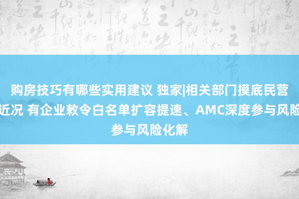 购房技巧有哪些实用建议 独家|相关部门摸底民营房企近况 有企业敕令白名单扩容提速、AMC深度参与风险化解