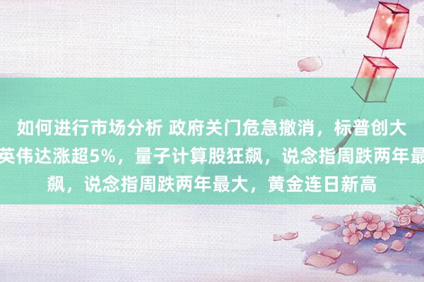 如何进行市场分析 政府关门危急撤消，标普创大选以来最强反弹，英伟达涨超5%，量子计算股狂飙，说念指周跌两年最大，黄金连日新高