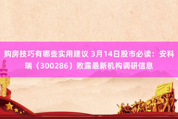 购房技巧有哪些实用建议 3月14日股市必读：安科瑞（300286）败露最新机构调研信息